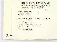 登錄號:F0019603藏品圖，第2張