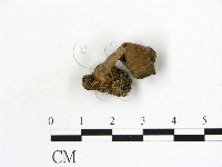 登錄號:F0019603藏品圖，第1張