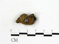 登錄號:F0019603藏品圖，第3張