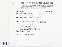 登錄號:F0019604藏品圖，第2張