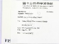 登錄號:F0019605藏品圖，第2張