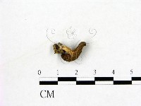 登錄號:F0019605藏品圖，第3張