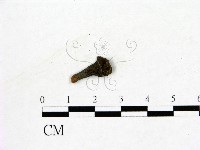 登錄號:F0019606藏品圖，第1張