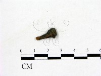登錄號:F0019606藏品圖，第3張
