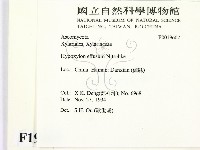 登錄號:F0019607藏品圖，第2張