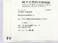 登錄號:F0019609藏品圖，第2張