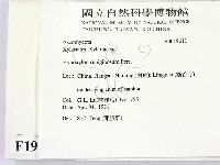 登錄號:F0019611藏品圖，第2張