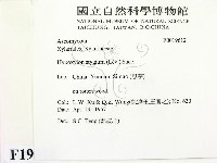 登錄號:F0019612藏品圖，第2張