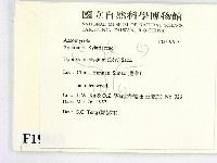 登錄號:F0019613藏品圖，第2張