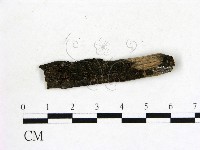 登錄號:F0019613藏品圖，第1張