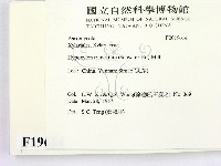 登錄號:F0019614藏品圖，第2張