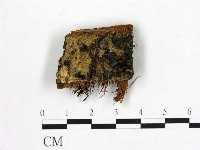 登錄號:F0019614藏品圖，第1張