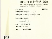 館號:F0019615藏品圖，第2張