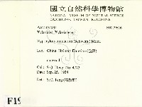 登錄號:F0019616藏品圖，第2張