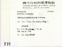 登錄號:F0019617藏品圖，第2張