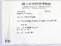 登錄號:F0019619藏品圖，第2張