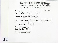 登錄號:F0019620藏品圖，第2張