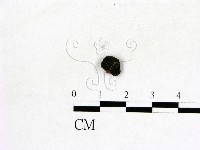 登錄號:F0019620藏品圖，第1張