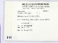 登錄號:F0019621藏品圖，第2張