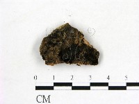 登錄號:F0019621藏品圖，第1張