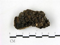 登錄號:F0019622藏品圖，第1張