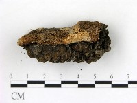 登錄號:F0019622藏品圖，第3張