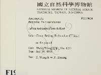 登錄號:F0019624藏品圖，第2張