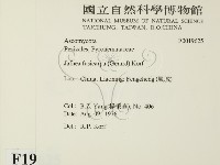登錄號:F0019625藏品圖，第2張