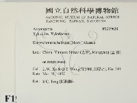 登錄號:F0019628藏品圖，第2張