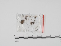 登錄號:F0019630藏品圖，第1張