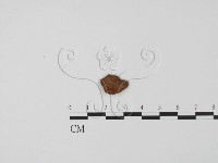 登錄號:F0019632藏品圖，第3張