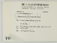 登錄號:F0019633藏品圖，第2張