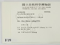 登錄號:F0019634藏品圖，第2張