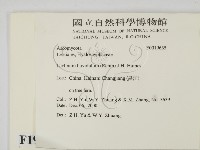 登錄號:F0019635藏品圖，第2張