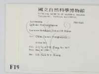 登錄號:F0019636藏品圖，第2張