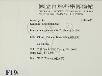 登錄號:F0019637藏品圖，第2張