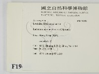 登錄號:F0019638藏品圖，第2張