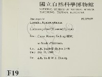 登錄號:F0019639藏品圖，第2張