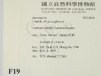 登錄號:F0019640藏品圖，第2張