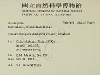登錄號:F0019642藏品圖，第2張
