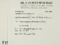 登錄號:F0019644藏品圖，第2張