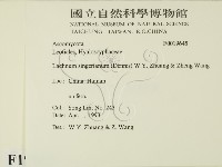 登錄號:F0019645藏品圖，第2張