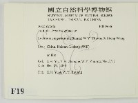 登錄號:F0019646藏品圖，第2張