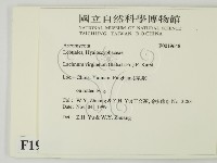 登錄號:F0019648藏品圖，第2張