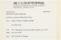 登錄號:F0019648藏品圖，第3張