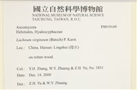 登錄號:F0019649藏品圖，第3張