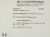 登錄號:F0019650藏品圖，第2張