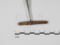 登錄號:F0019650藏品圖，第4張