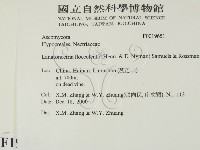 登錄號:F0019651藏品圖，第2張