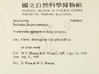 登錄號:F0019652藏品圖，第2張
